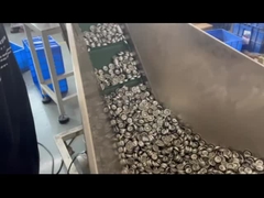 Valvola aerosol misurata Valvola aerosol misurata da un pollice di plastica Valvola misurata da un pollice di plastica