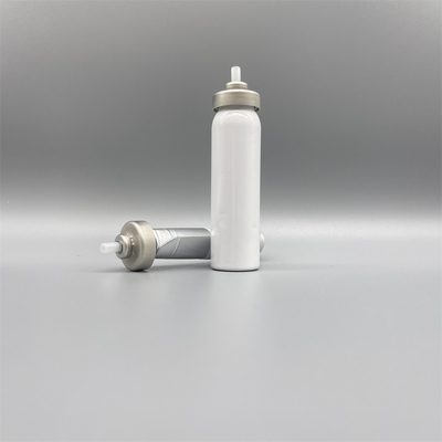 comprare Innovative Bag on Valve for Automotive Use with Precision Trigger Spray Cap fabbricazione online