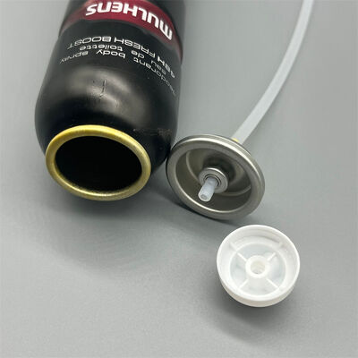 comprare Valvola aerosol spray per il corpo Valvola spray premium progettata per l'erogazione di nebbia fine fabbricazione online