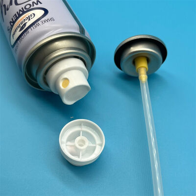 comprare Valvola di spruzzo per shampoo secco Progettazione avanzata di valvole per la distribuzione di polvere fine fabbricazione online