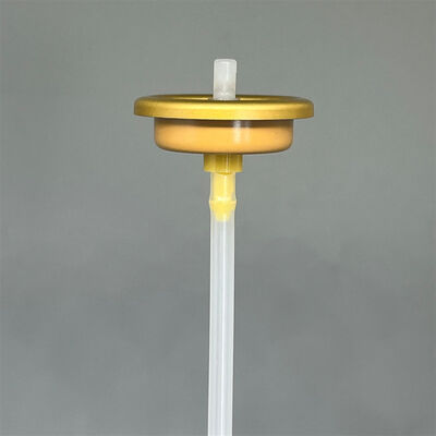 comprare Valvola di spruzzo per il corpo di deodorante premium con attuatore per profumi di lusso con tecnologia di spruzzo avanzata fabbricazione online