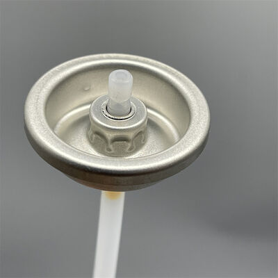 comprare Valvola di spruzzatura del corpo di qualità superiore per la cura personale quotidiana con prestazioni di spruzzatura fluide fabbricazione online