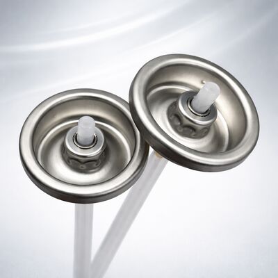 comprare Valvola aerosol di shampoo secco di precisione con progettazione per la riduzione dei residui, uscita di polvere controllata e funzionamento multiangolare a 360° fabbricazione online