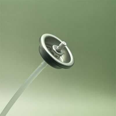 comprare Valvola aerosol resistente da 1 pollice progettata per applicazioni affidabili di gonfiamento e riparazione rapida dei pneumatici fabbricazione online