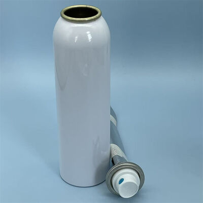 comprare Sistema Aerosol Femminile Premium Bag-on-Valve con Tecnologia Avanzata di Barriera Sterile per Applicazioni Spray ad Alte Prestazioni fabbricazione online