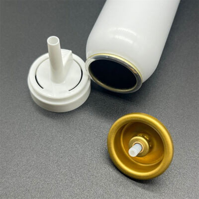 Accessoio per mousse per capelli aerosol universale per il marchio OEM con tappo e attuatore personalizzabili