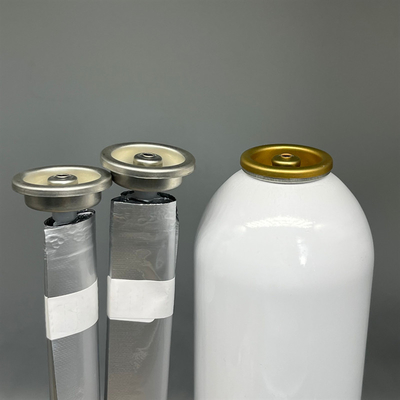 Borsa femminile versatile su valvola per aerosol domestici con distribuzione efficiente e prestazioni prive di perdite