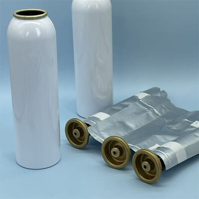 Sistema aerosol femminile di livello professionale con controllo della sterilità migliorato